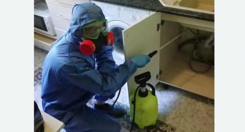 Уничтожение муравьев в квартире. Даниловский район 