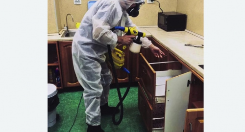 Уничтожение насекомых в квартире. Даниловский район 