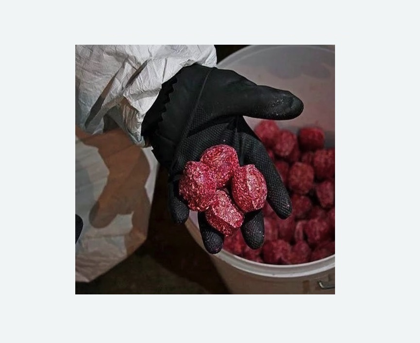 Обработка от крыс в Даниловском районе Москвы