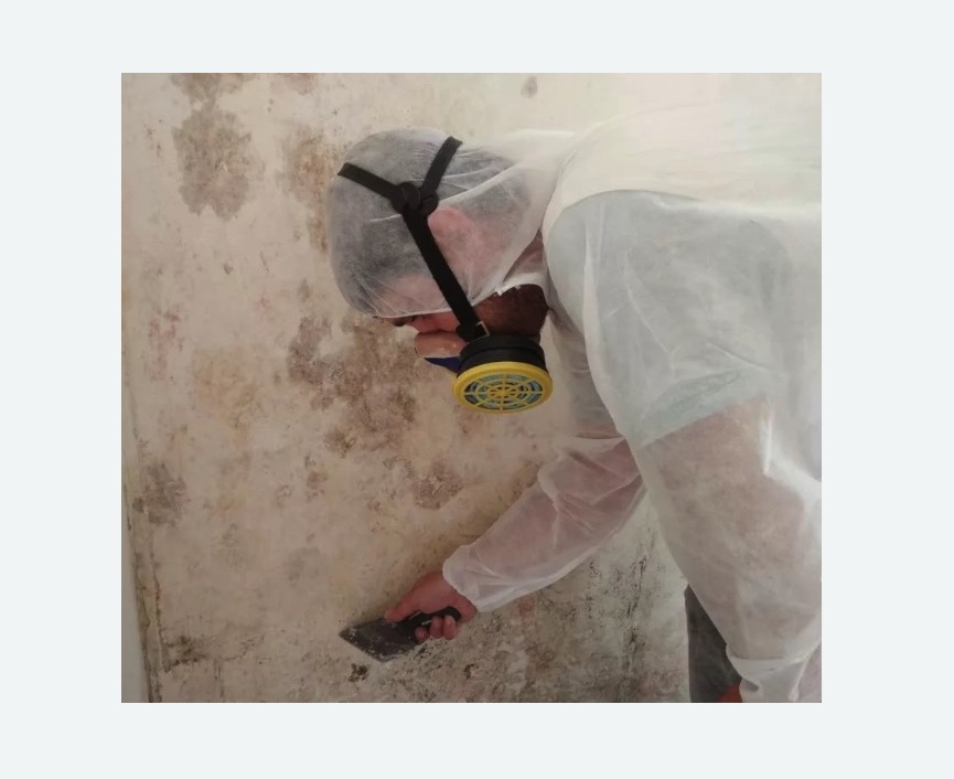 Обработка стен от плесени в Даниловском районе Москвы