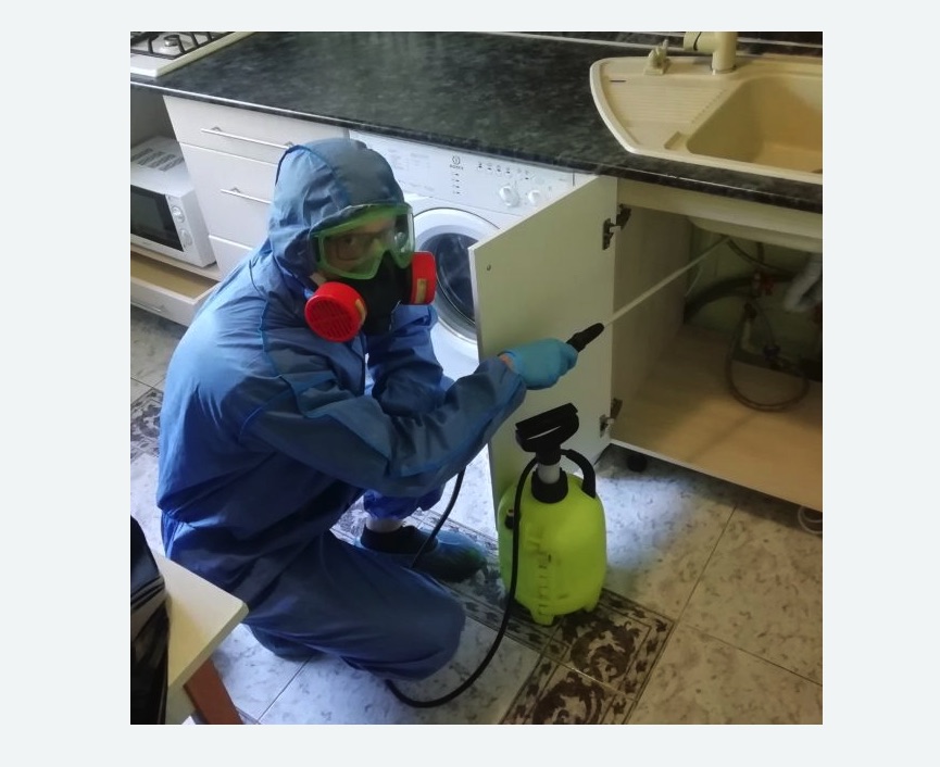 обработка от муравьев в квартире в Даниловском районе Москвы