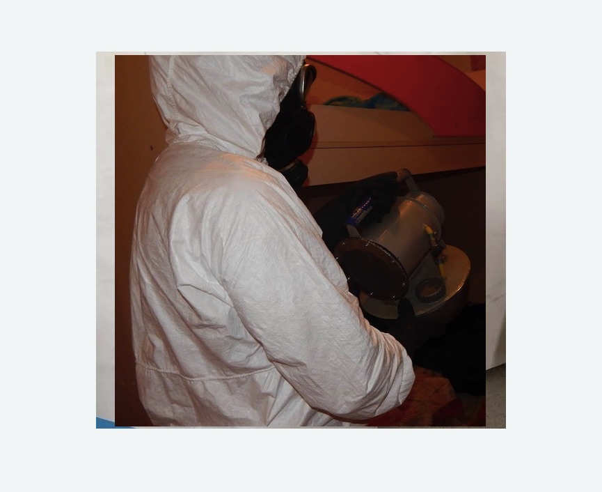 Дезинфекция от муравьев в Даниловском районе Москвы